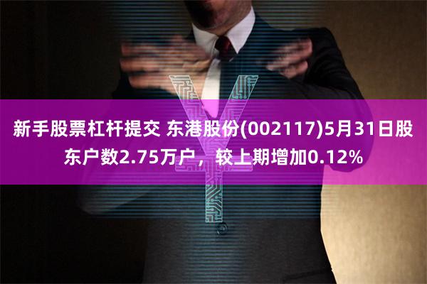 新手股票杠杆提交 东港股份(002117)5月31日股东户数2.75万户，较上期增加0.12%