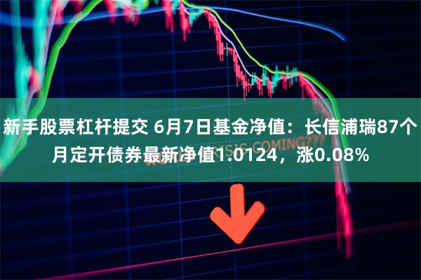 新手股票杠杆提交 6月7日基金净值：长信浦瑞87个月定开债券最新净值1.0124，涨0.08%