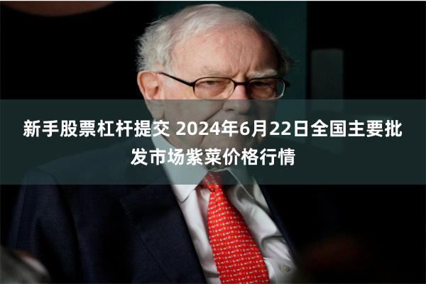 新手股票杠杆提交 2024年6月22日全国主要批发市场紫菜价格行情