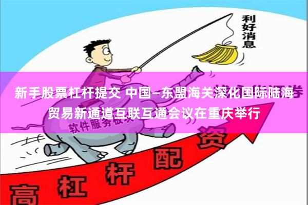 新手股票杠杆提交 中国—东盟海关深化国际陆海贸易新通道互联互通会议在重庆举行