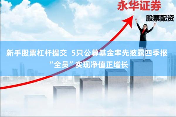 新手股票杠杆提交  5只公募基金率先披露四季报 “全员”实现净值正增长
