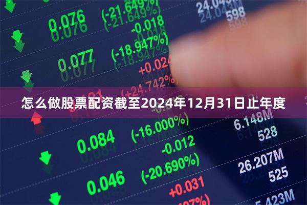 怎么做股票配资截至2024年12月31日止年度