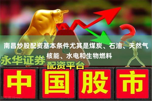 南昌炒股配资基本条件尤其是煤炭、石油、天然气、核能、水电和生物燃料