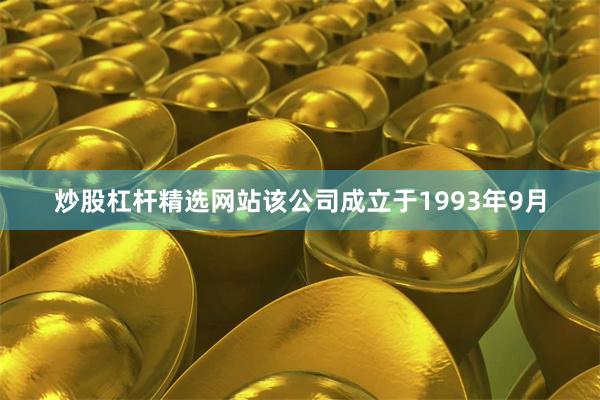 炒股杠杆精选网站该公司成立于1993年9月