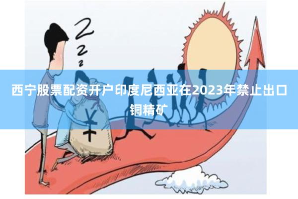 西宁股票配资开户　　印度尼西亚在2023年禁止出口铜精矿