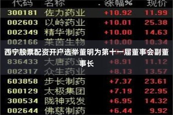 西宁股票配资开户选举董明为第十一届董事会副董事长